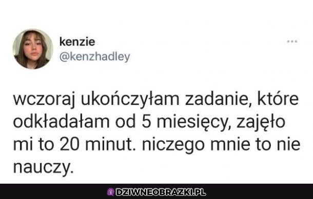 Zero wniosków