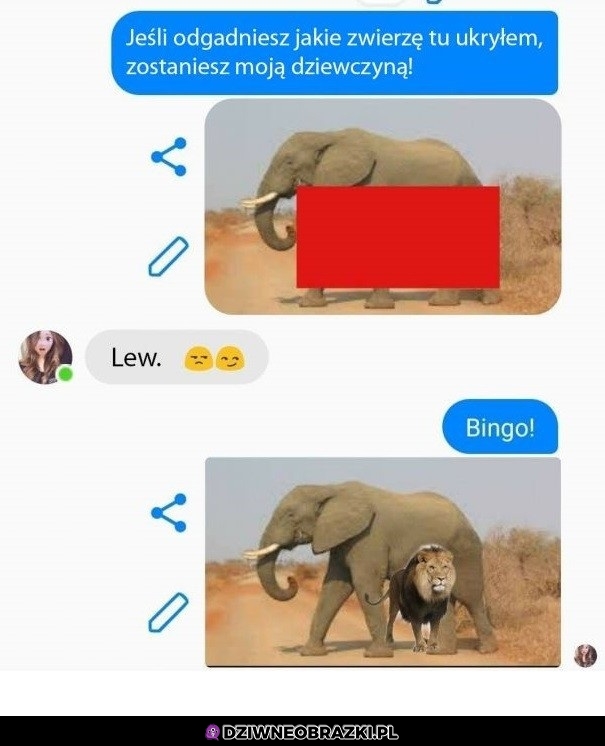 Zgadła