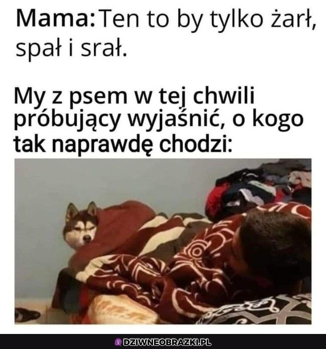 Dobre pytanie
