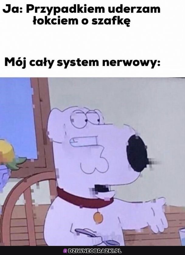 Kiedy uderzę o szafkę