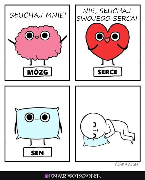 Słuchaj no