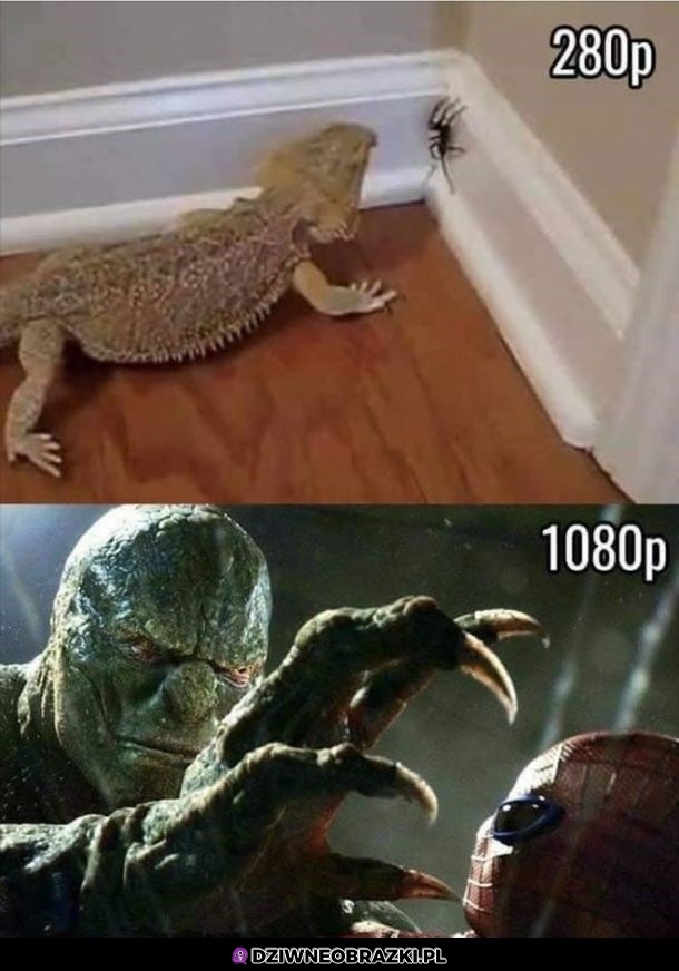 Porównanie