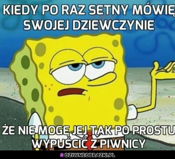 No czego tu nie rozumiesz?