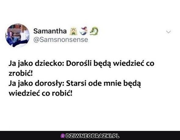Kiedy dorosłeś i dalej nie wiesz