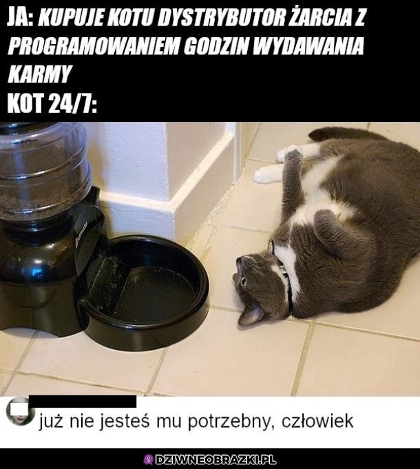 Dystrybutor karmy