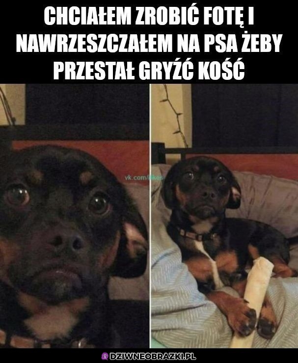 No weź na niego nie krzycz koleś!