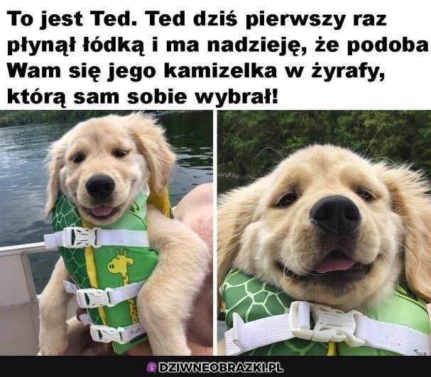Jaki zadowolony