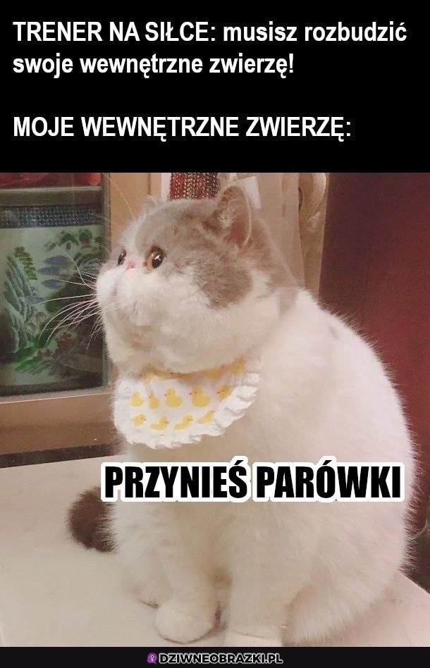 Wewnętrzne zwierzę