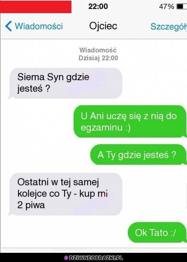 Siema synu