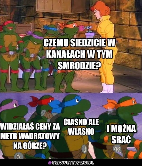 Czemu tam siedzą?