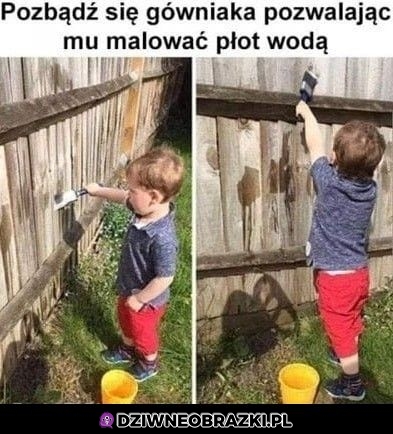 I pyk ma zajęcie na godziny