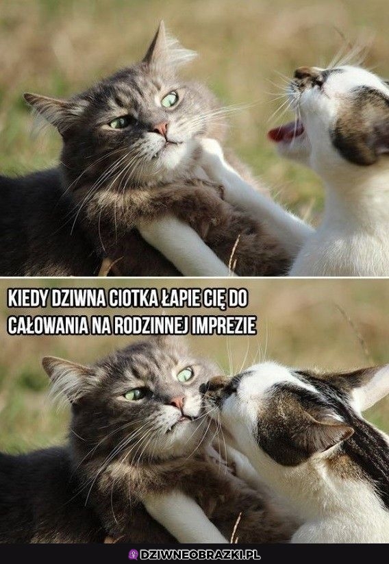 Ten moment