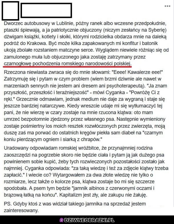 Dziwna przygoda z cyganką