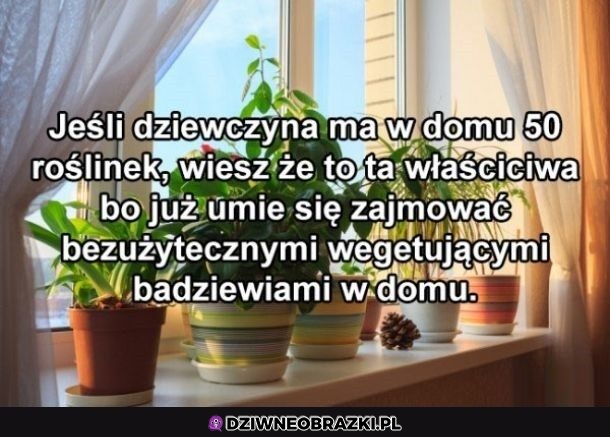 Ta jedyna