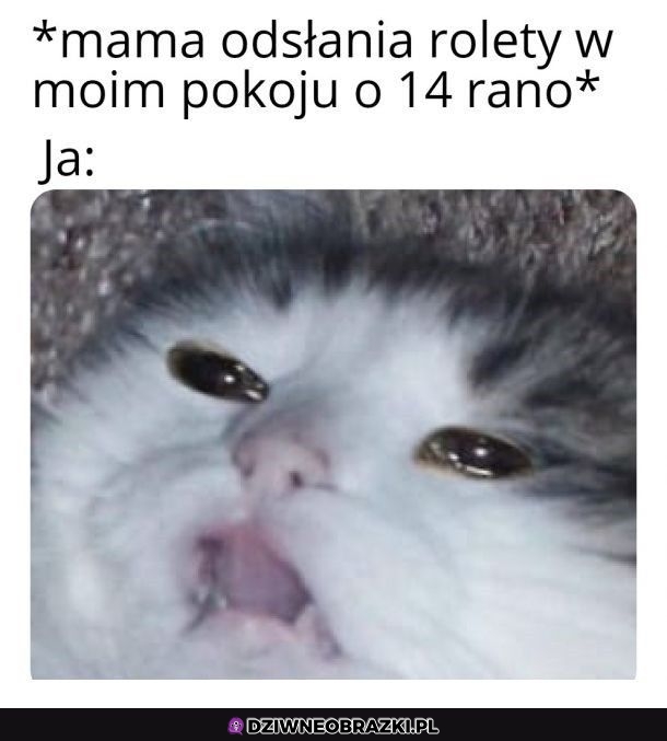 Jak to