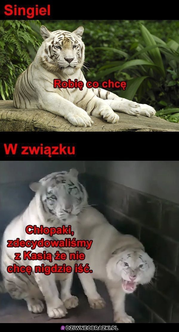 Bycie w związku
