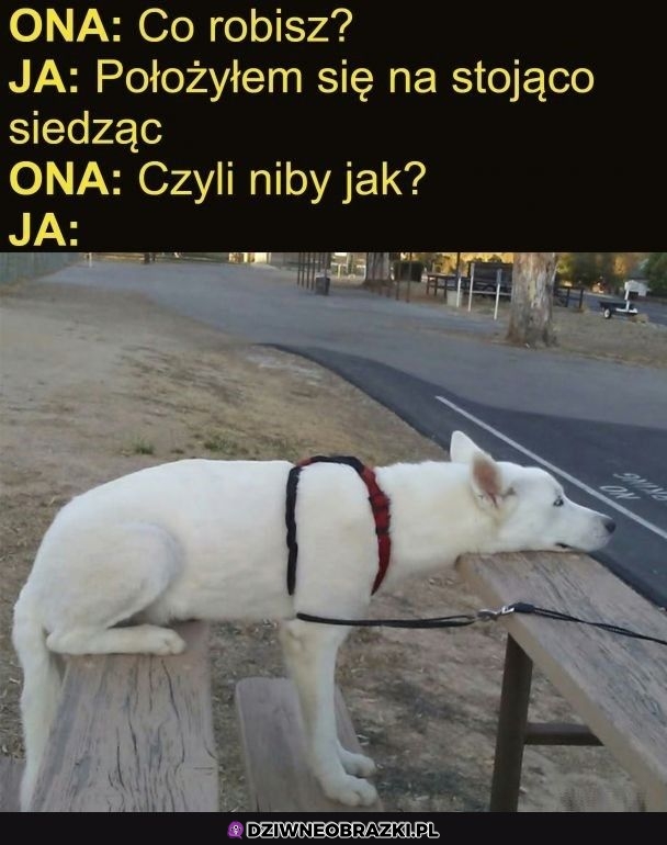 A no tak