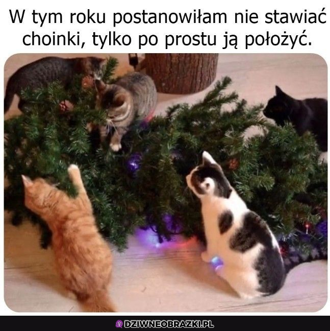 Nie ma się co oszukiwać