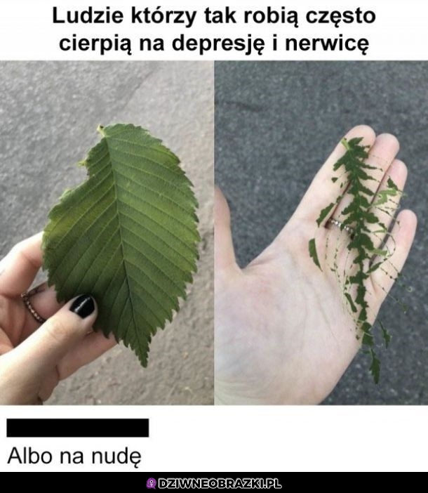 Na coś cierpią