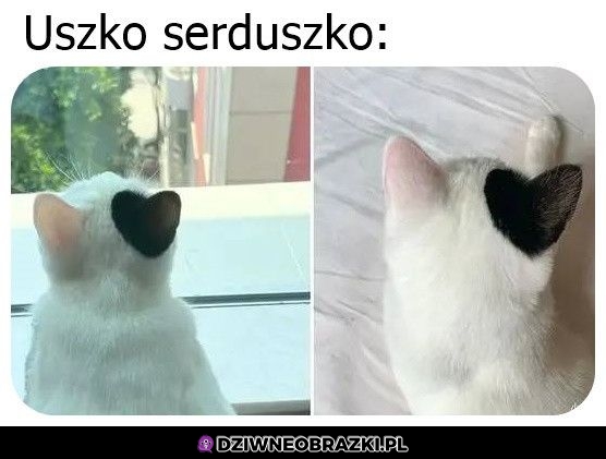 Urocze
