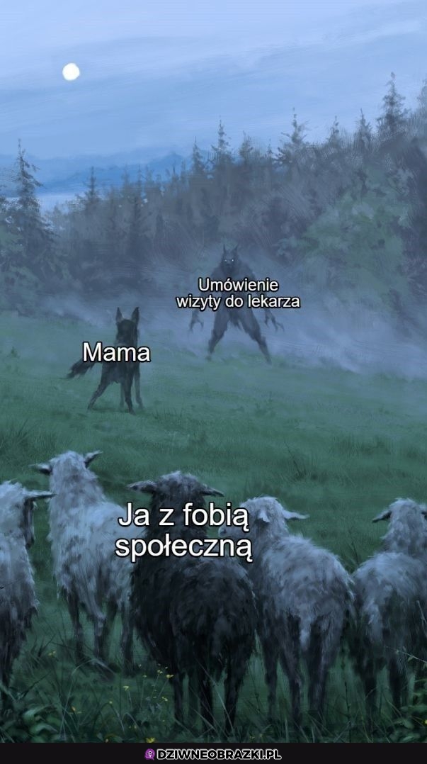 Zawsze