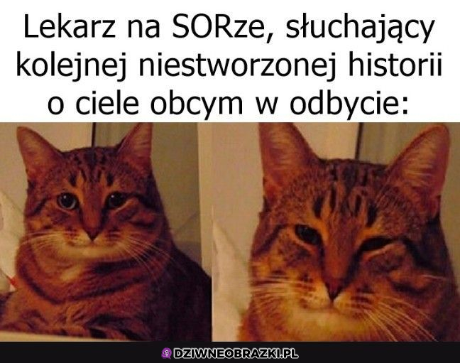 Coraz lepsze te opowieści na sorze :D