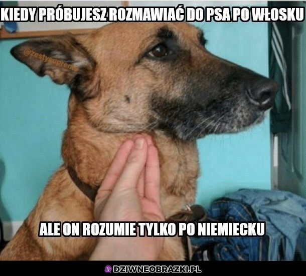 Nie dogadają się