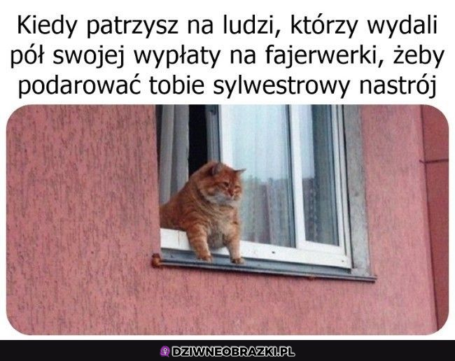 Dziękuję