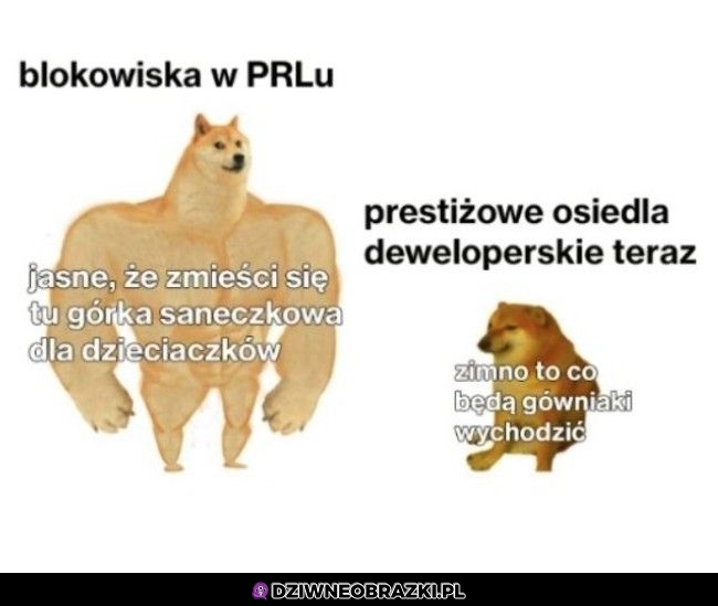 Jakoś tak fajniej było