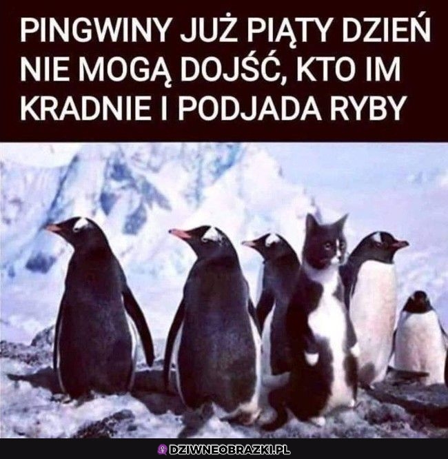 Kto to może być?