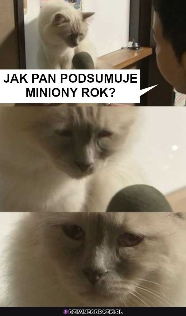 Podsumowanie