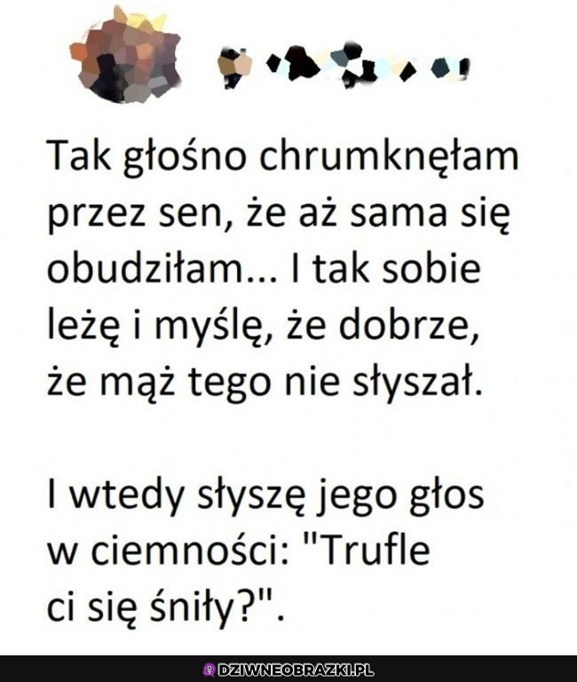 Jest czujny skubany