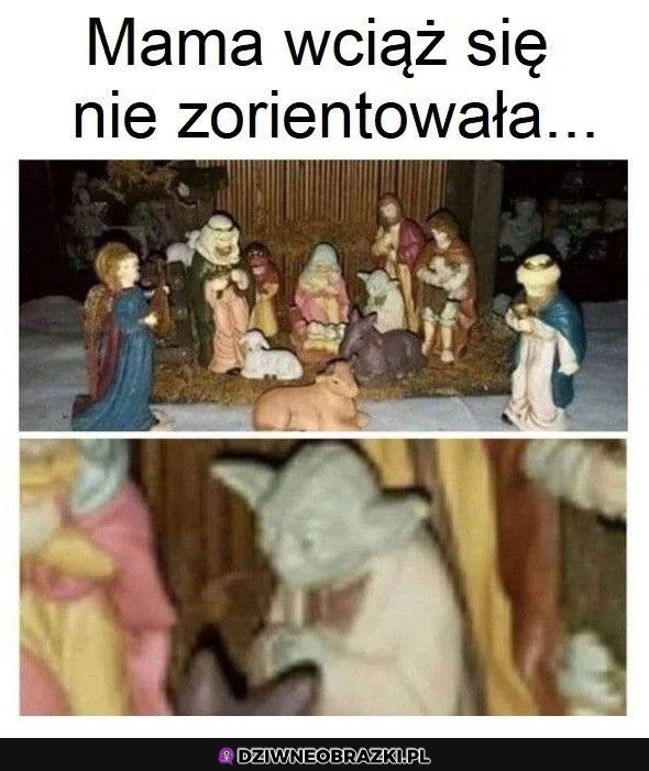 Niespodziewany gość w szopce