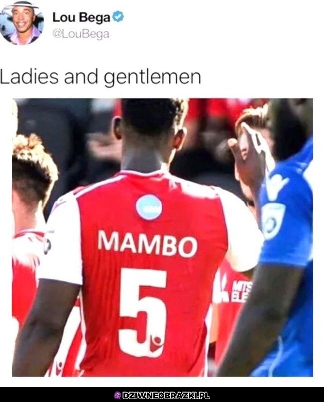 Panie i panowie