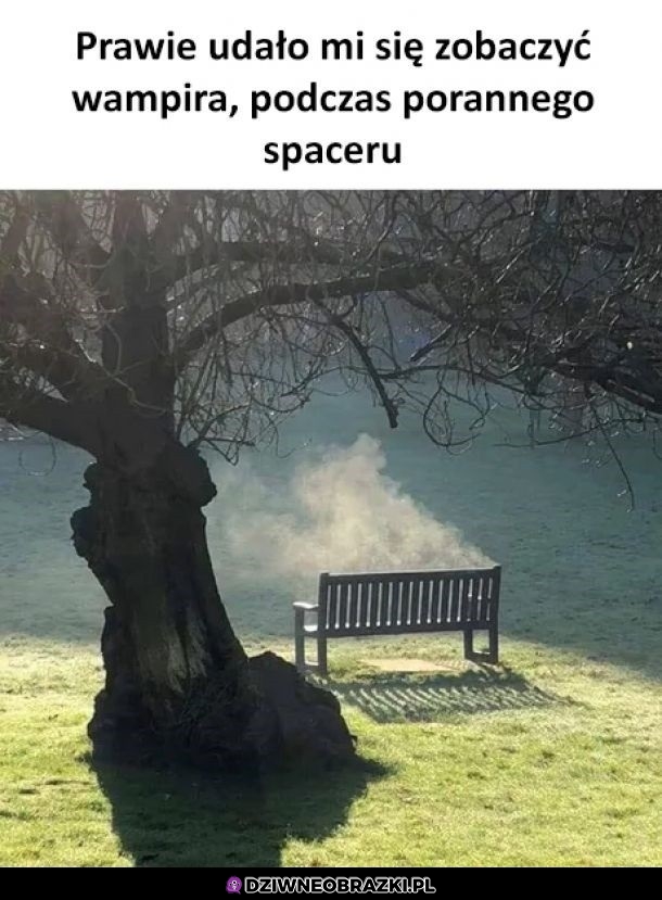 Aj, moment za późno