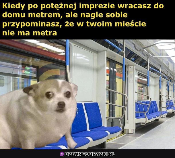 Potężna impreza