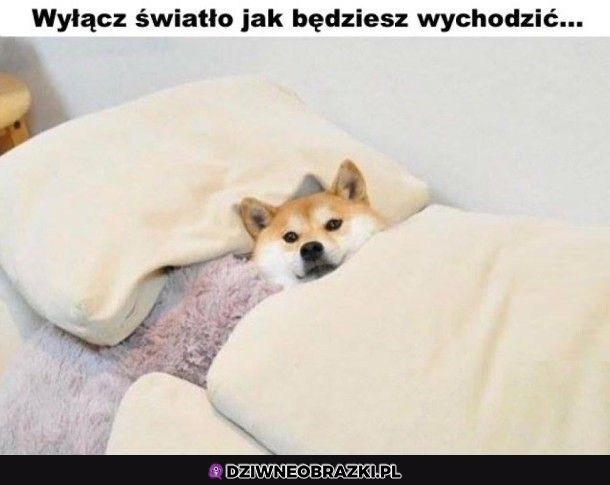 I zamknij drzwi