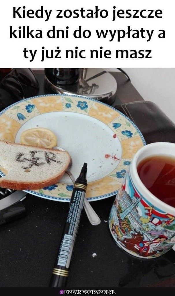 Jakoś trzeba dożyć