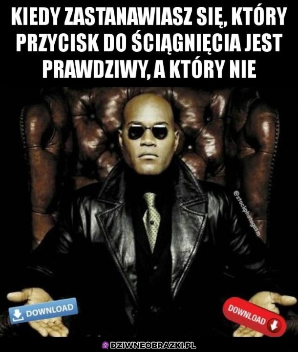 Zawsze