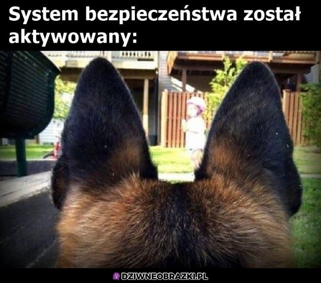 System włączony