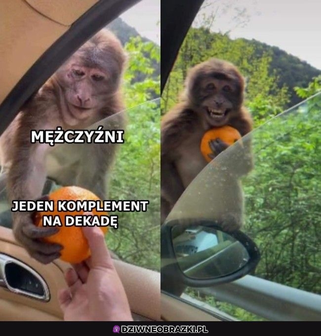 I wystarczy I wystarczy