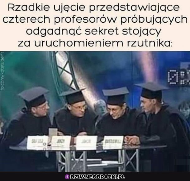 Rzadkie zdjęcie