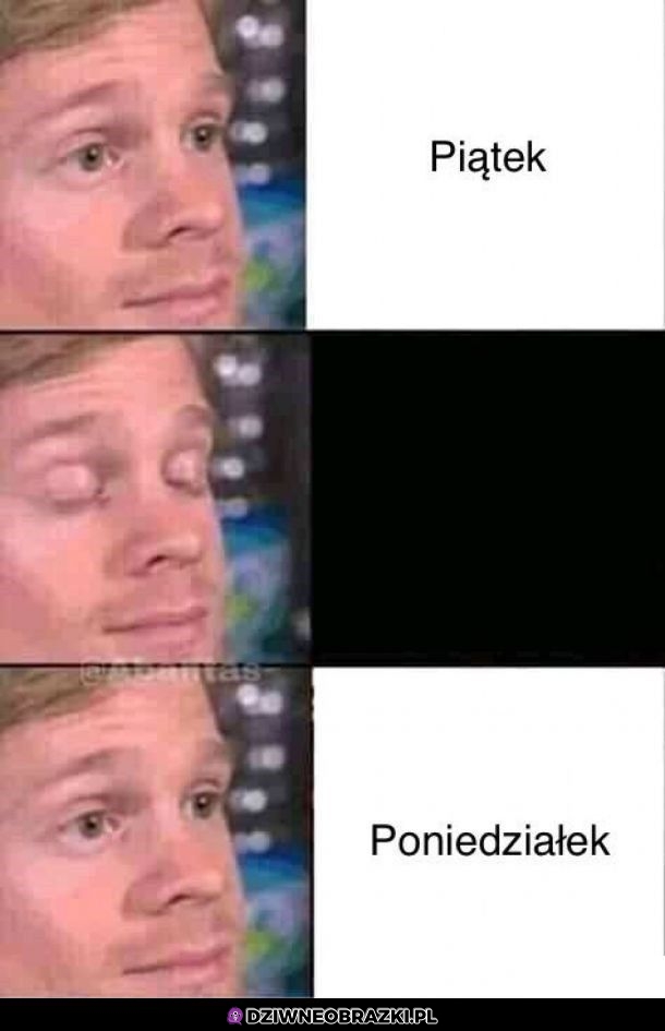 Niczym mrugnięcie