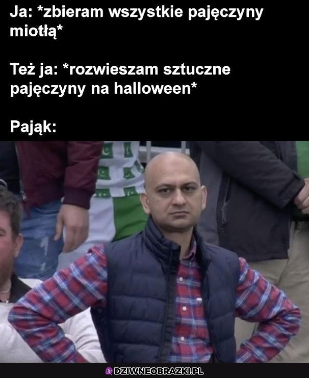 No i co to ma znaczyć