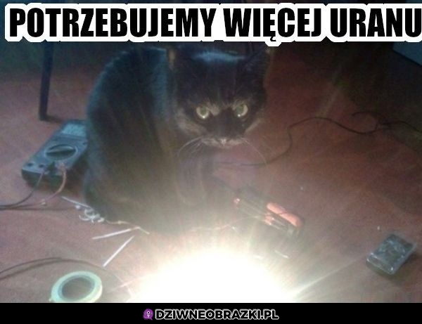 Więcej uranu!