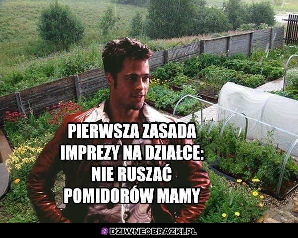 Pierwsza zasada