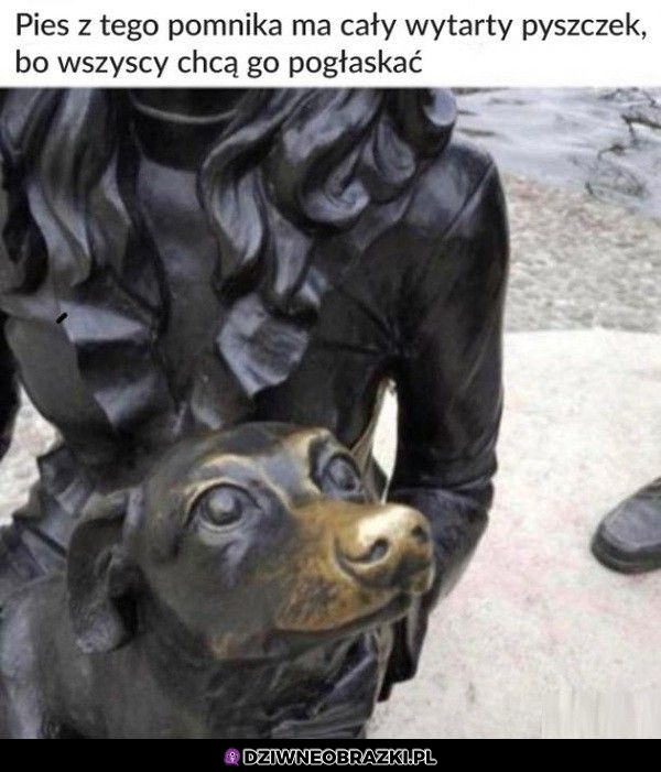 Głaskałbym