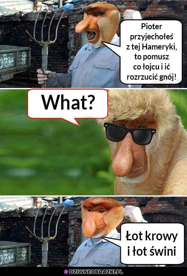What?
