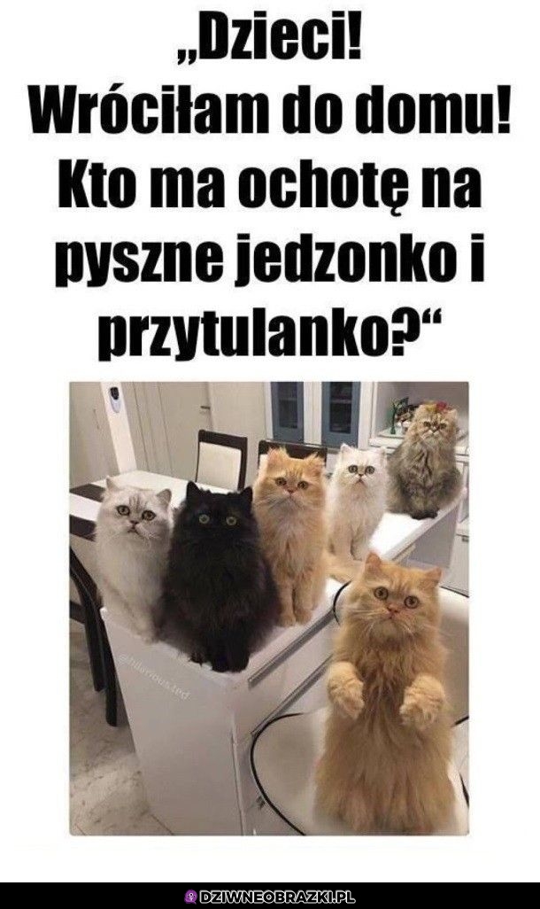 Ten moment, kiedy wracam do domu