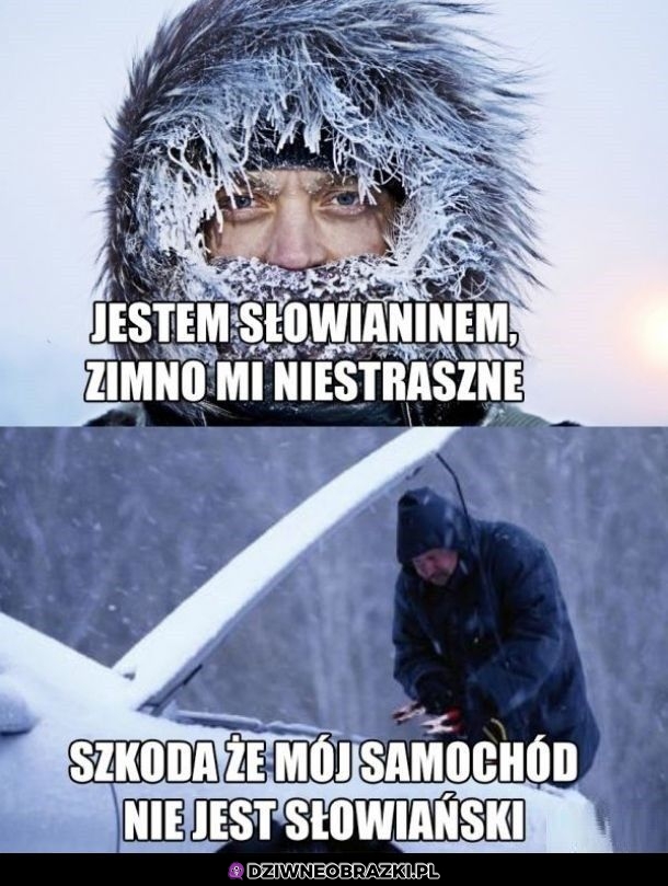 Słowianie